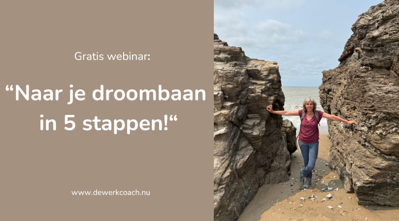 plaajte webinar 5 stappen juli 25
