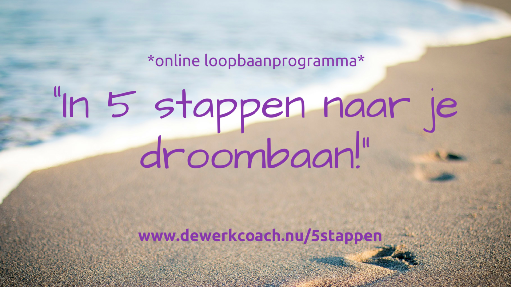 plaatje programma strand:paars